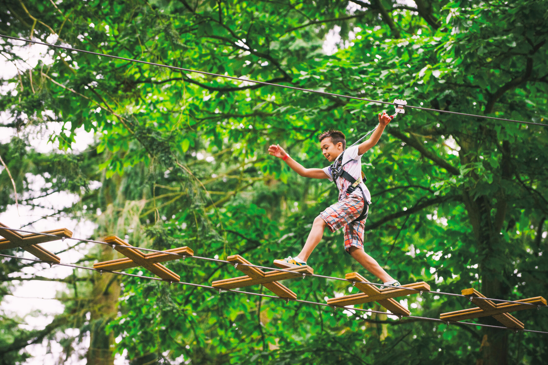 Go Ape!